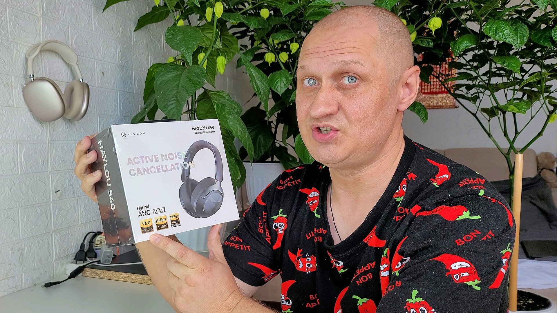 HAYLOU S40 - ПОЛНОРАЗМЕРНЫЕ БЛЮТУЗ НАУШНИКИ С ДВУМЯ ДРАЙВЕРАМИ