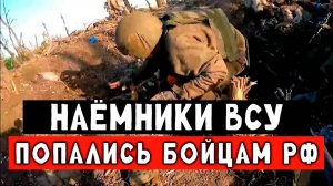 Бойцы ВСУ заехали не на ту дорогу. Военные сводка
