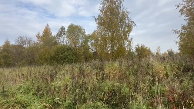 Участок в деревне Юрьевец 5 км от Череповца 18 соток смотреть онлайн