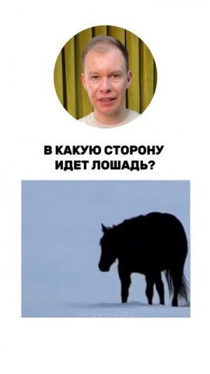 Расшифровка👇