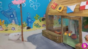 ХОМЯЧКИ в КРАСТИ КРАБ*** ИНСПЕКТОР РЕВИЗОРЬКА ЗАКРЫВАЕТ КАФЕ