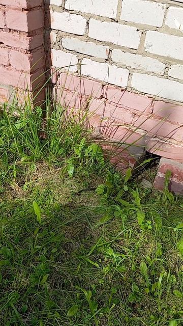 VID_20250831_130638 в содружестве с ГАДАМИ)