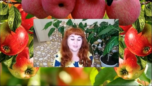 Чистка подсознания. Авторская методика.Овладев техникой жизнь мгновенно преобразится.//Анохина С.Г. смотреть онлайн