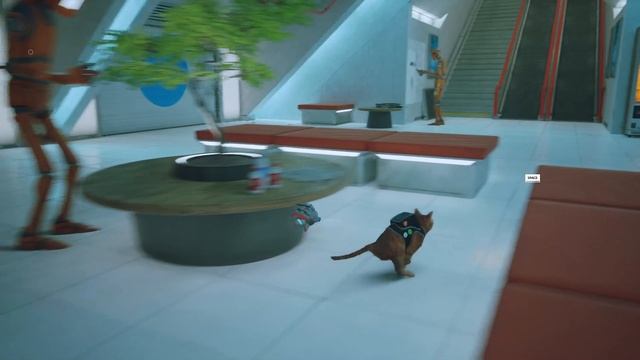 ФИНАЛ ► Stray #8 Прохождение без комментариев #gaming #games #nikitamyplay #игры