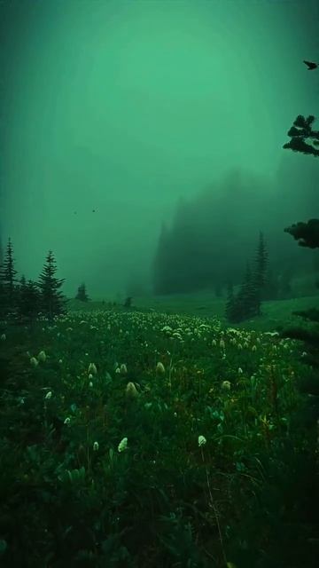 эстетика природа