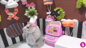 ХОМЯЧКИ в МАГАЗИНЕ ШАПОК** ЭТО ПРОСТО МиМиМи