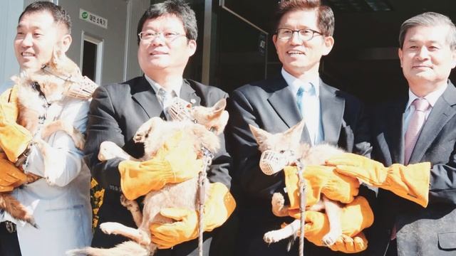 КОРОНАВИРУС Ч1/ БЕЗНРАВСТВЕННОСТЬ.КЛОНИРОВАНИЕ.//АНОХИНА С.Г. смотреть онлайн