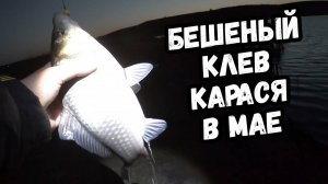 РЫБАЛКА НА КАРАСЯ В МАЕ / РЫБАЛКА С НОЧЕВКОЙ / РЫБАЛКА НА ДОНКИ