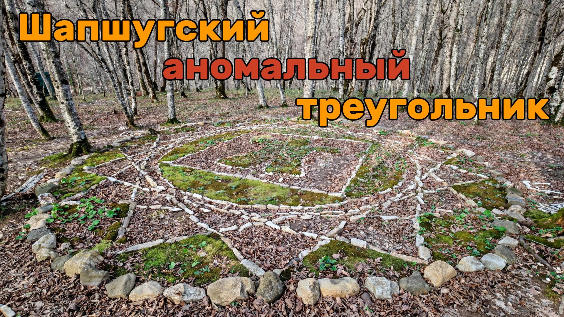 Поход в Шапшугу 45 километров через аномальную зону