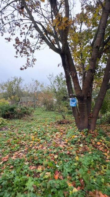 Начинаем новый колодец в Талдомском районе смотреть онлайн