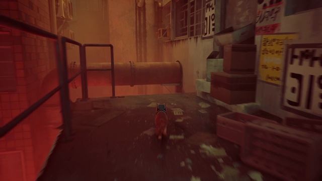 Stray #3 Прохождение без комментариев #gaming #games #nikitamyplay #игры