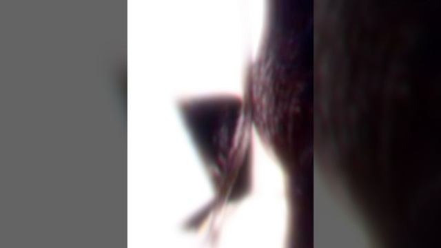 🥀цыганская песня🥀
⚜️ она моя Джана Джана ⚜️ смотреть онлайн