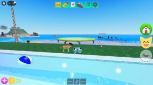 СТАВИМ ЭКСПЕРИМЕНТЫ НАД ПЕББЛОМ В КИСИКАХ!