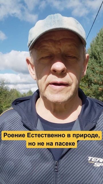 Роение пчёл естественно в природе, но не на пасеке разумного пчеловода смотреть онлайн