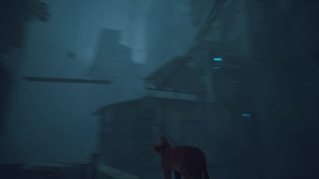 Stray #1 Прохождение без комментариев #gaming #games #nikitamyplay #игры