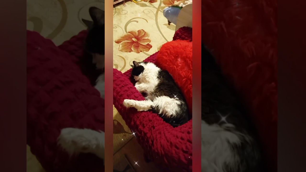  смотреть онлайн