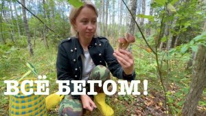 #178. Явились не запылились:) [Жизнь на своей земле]