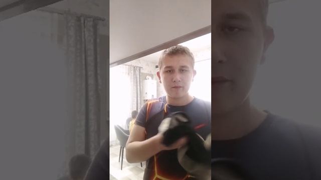 домашние дела