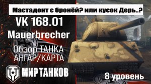 VK 168.01 Mauerbrecher обзор танка Германии | оборудование BK 168.01 бронирование | Mauerbrecher