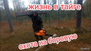 Жизнь в тайге. Охота на боровую.