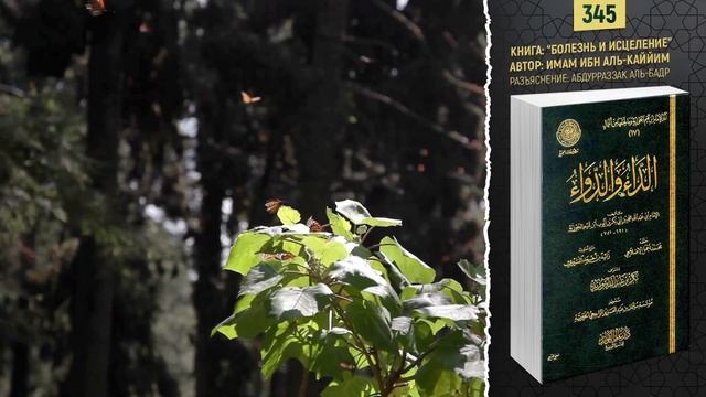 Оставь то, что тебя не касается | Болезнь и исцеление | №345 смотреть онлайн