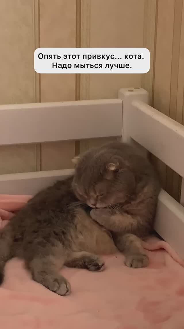 Мой утренний ритуал красоты.