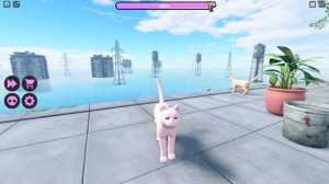 ОББИ ДЛЯ НАСТОЯЩИХ КИСИКОВ! Roblox Kitty Dash