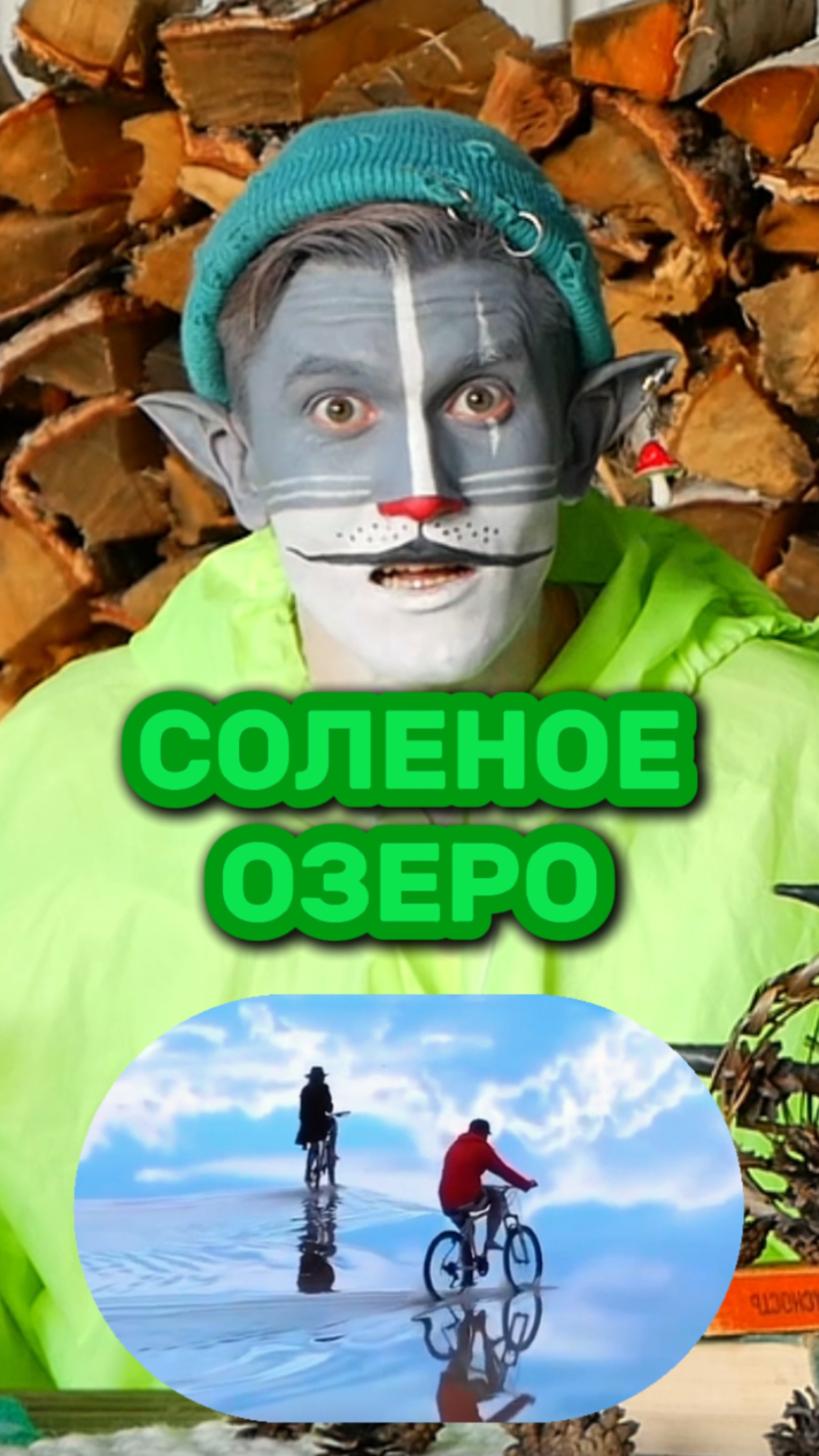 Кот Учёный и Соленое озеро 🌊 смотреть онлайн