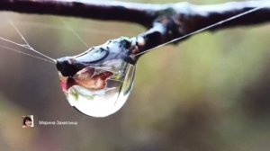 Экотерапия 37 серия.