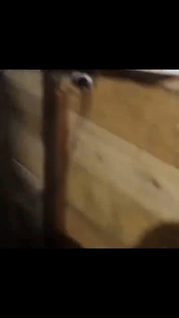 Бедный паренек смотреть онлайн