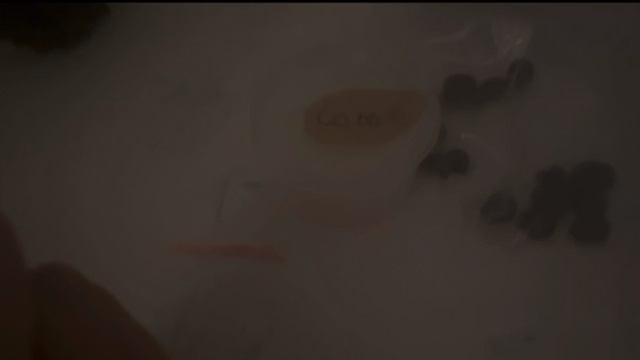 Обзор на все мои ингредиенты для зелий пожалуйста пишите в комментарий их свойства #травница🍀