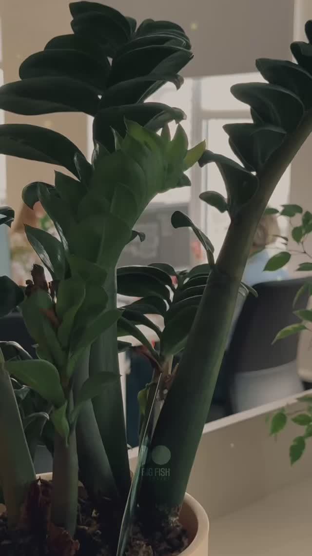 Когда дом становится продолжением природы 🍃