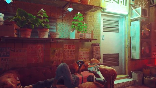 ПИРАМИДХЭД ► Stray #6 Прохождение без комментариев #gaming #games #nikitamyplay #игры