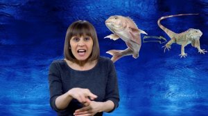 Птица с головой ящерицы.