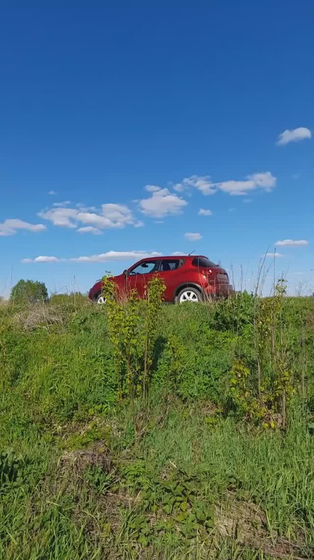 Мужу понравилось ) #Gektalife #shorts