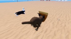 СОБИРАЕМ ПОДАРКИ В НОВОГОДНИХ КИСИКАХ! Roblox Kitten Game