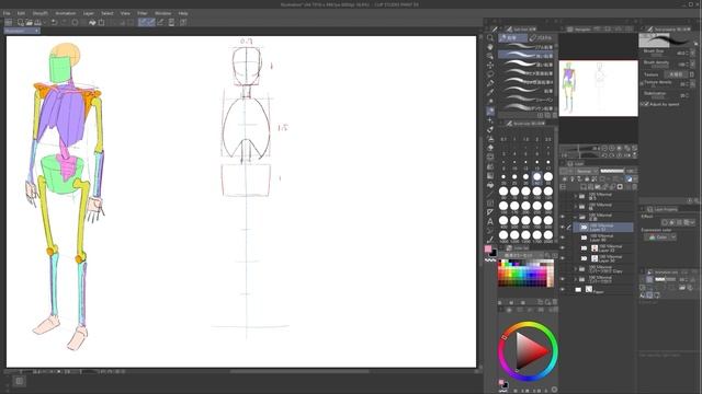 04. Basic Knowledge You Need To Know Before Drawing A Character ENG смотреть онлайн