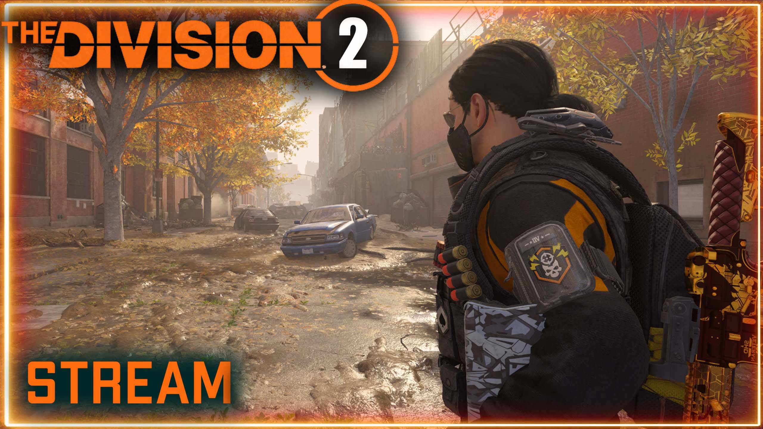 Division 2 stream: ПВЕ ⚡Возможно ПВП и темная зона смотреть онлайн