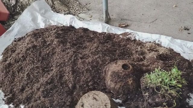 Можно ли использовать старый грунт снова? Ответ удивит. смотреть онлайн