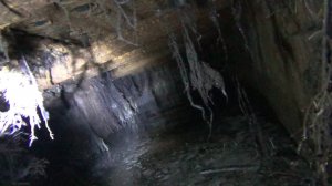 Раскопал жуткий затопленный подвал! Залез туда, а там и рельсы и медный кабель!!