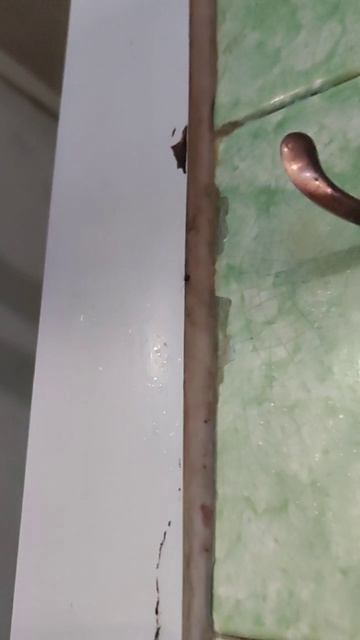 Таракан в Центральных банях Абакана смотреть онлайн