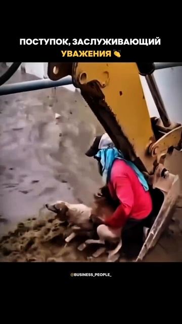 Поддержи подпиской🙏 смотреть онлайн