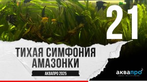 21. Тихая симфония Амазонки. #АкваПро