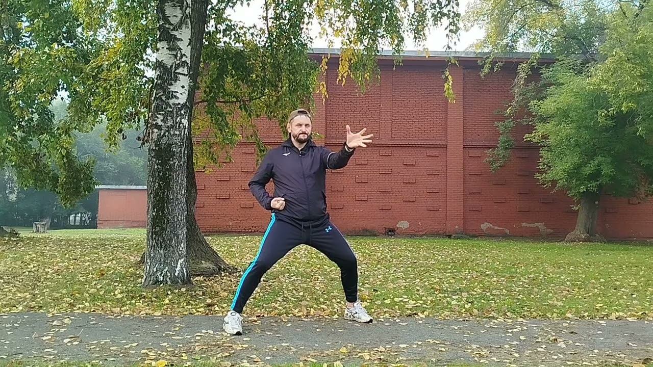 Восемь кусков парчи. Урок 4