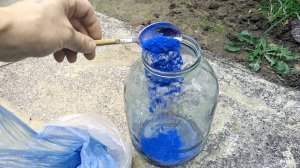 Опрыскайте этим смородину и крыжовник осенью в отябре ноябре чтобы кусты были усыпаны ягодой