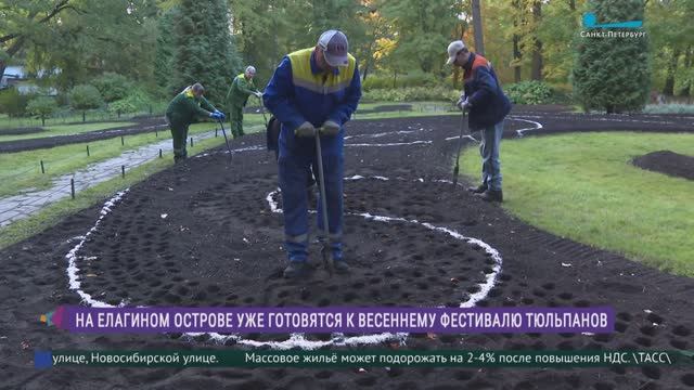 Фестиваль тюльпанов 2026: подготовка началась! смотреть онлайн