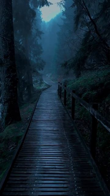 эстетика лес