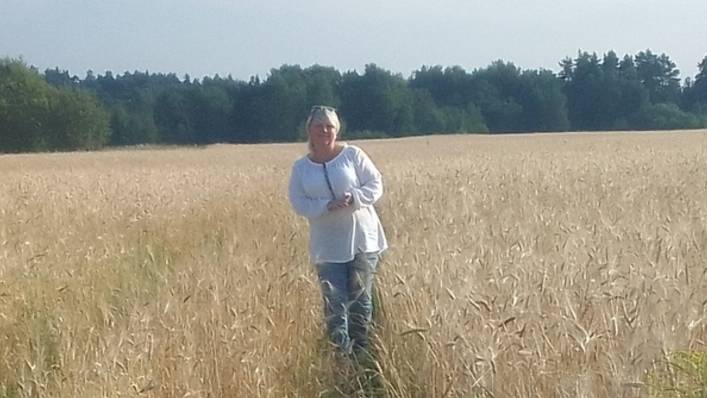 Русское поле (клип)