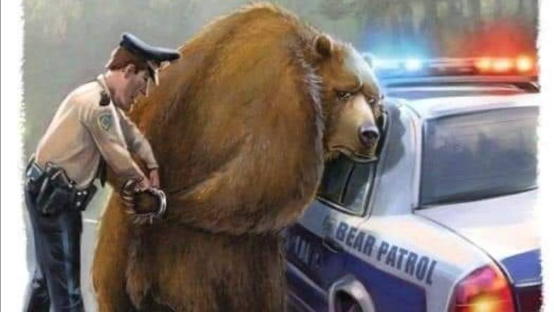 А я БК затащу, горький дым затяну, люк открою.....! 07.10.25 !!!( Vikings War of Clans)