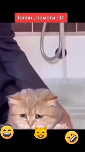 топ олдовский мемасик